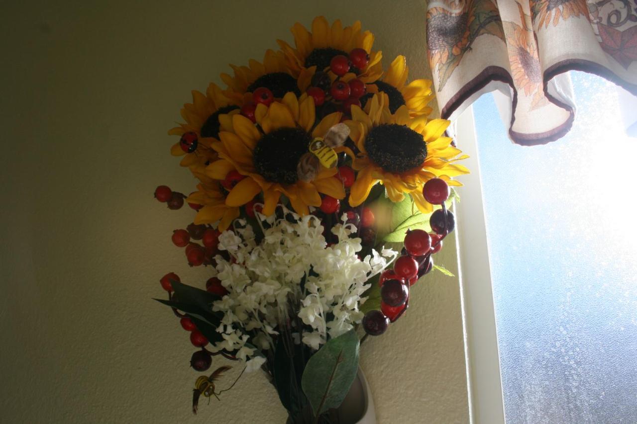 Dreamcatcher Bed & Breakfast
